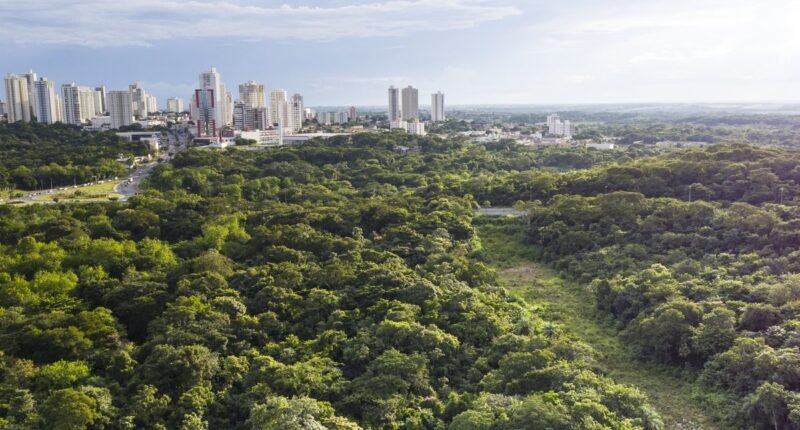 Vista aérea de Cuiabá com área verde em primeiro plano e prédios no horizonte